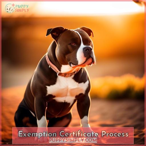 Exemption Certificate Process
