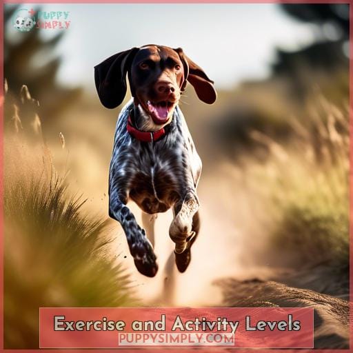 Exercise and Activity Levels Exercise and Activity Levels
