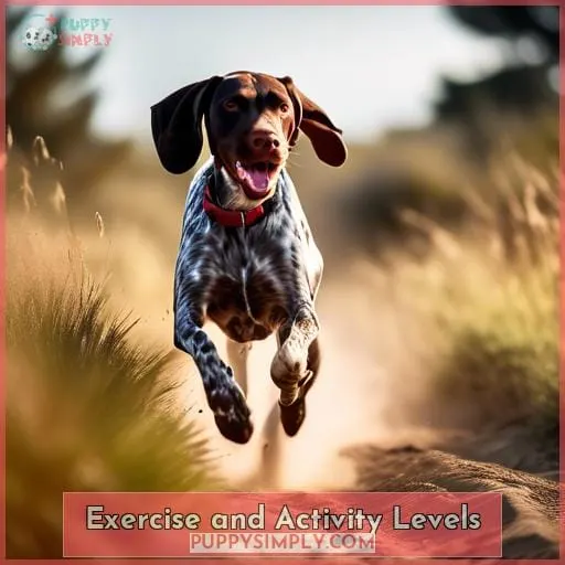 Exercise and Activity Levels