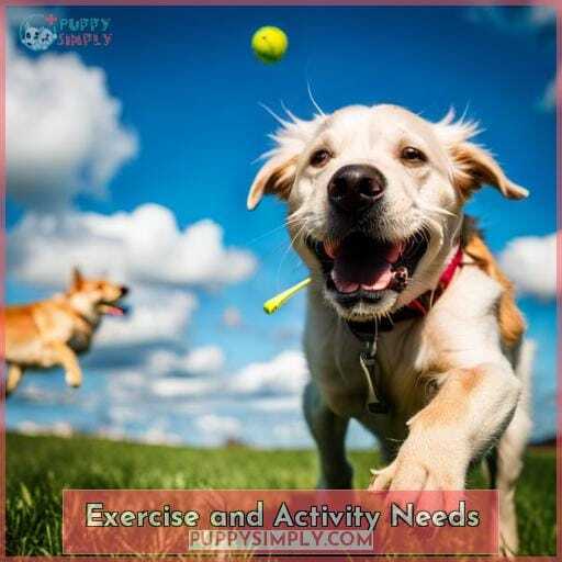 Exercise and Activity Needs Exercise and Activity Needs