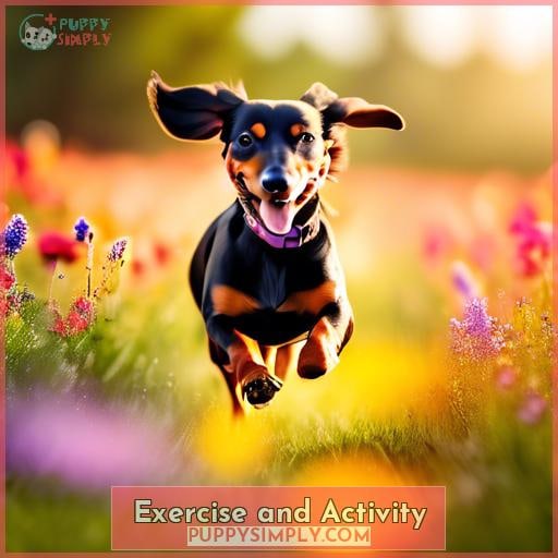Exercise and Activity