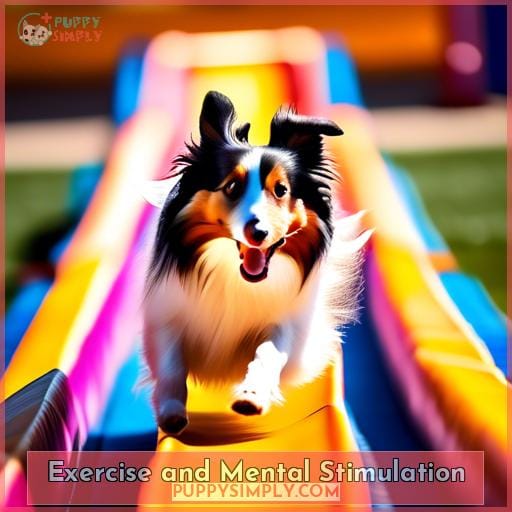 Exercise and Mental Stimulation Exercise and Mental Stimulation