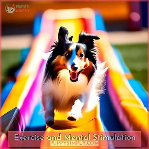 Exercise and Mental Stimulation