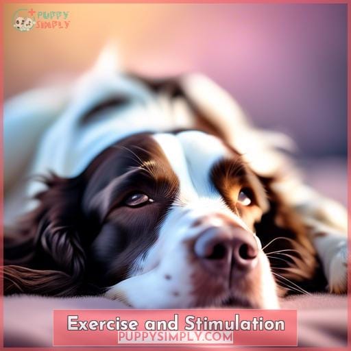 Exercise and Stimulation