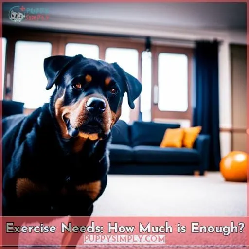 Exercise Needs: How Much is Enough