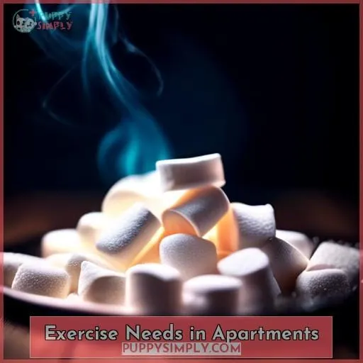 Exercise Needs in Apartments