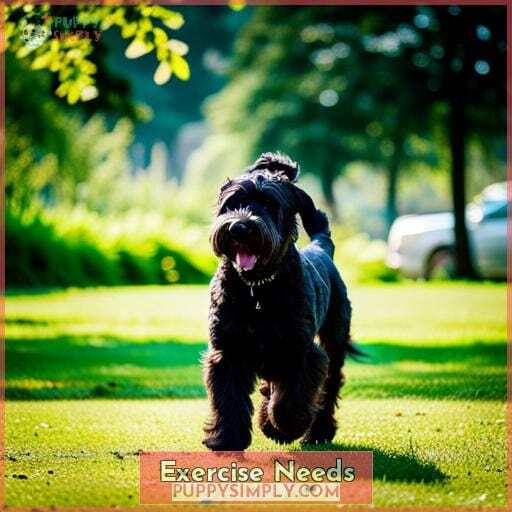 Exercise Needs Exercise Needs