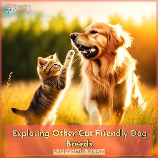 Exploring Other Cat-Friendly Dog Breeds