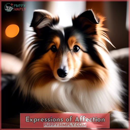 Expressions of Affection Expressions of Affection