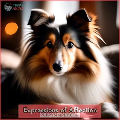 Expressions of Affection