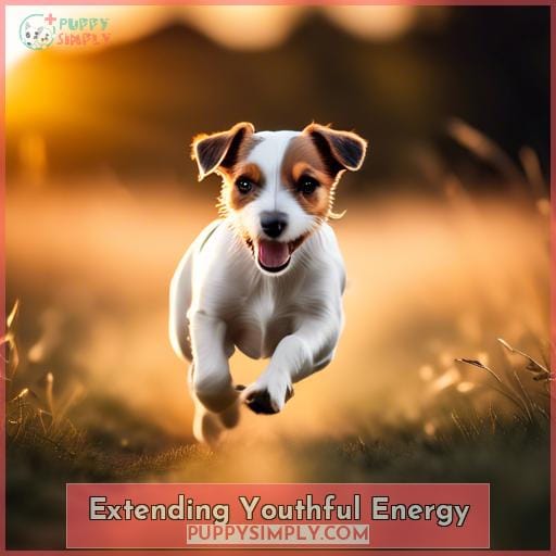 Extending Youthful Energy