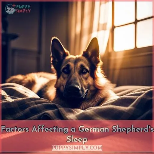 Factors Affecting a German Shepherd