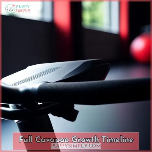 Full Cavapoo Growth Timeline