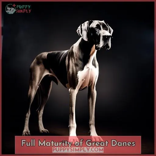 Full Maturity of Great Danes