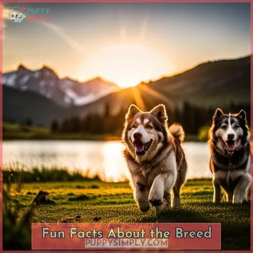 Fun Facts About the Breed