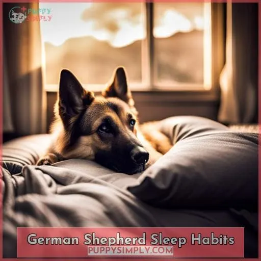German Shepherd Sleep Habits