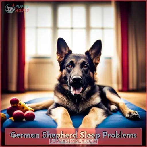 German Shepherd Sleep Problems