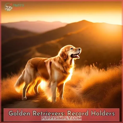 Golden Retrievers: Record Holders