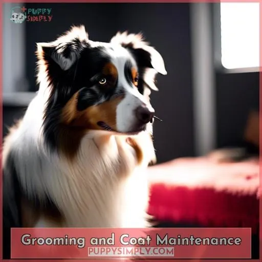 Grooming and Coat Maintenance