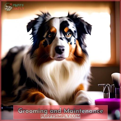 Grooming and Maintenance Grooming and Maintenance