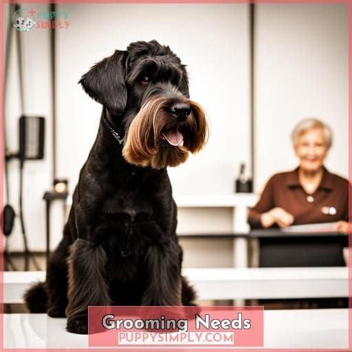 Grooming Needs Grooming Needs