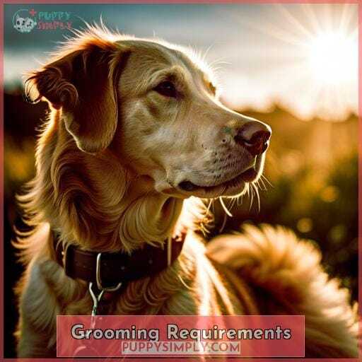Grooming Requirements Grooming Requirements