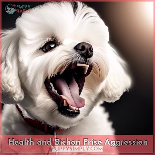 Health and Bichon Frise Aggression