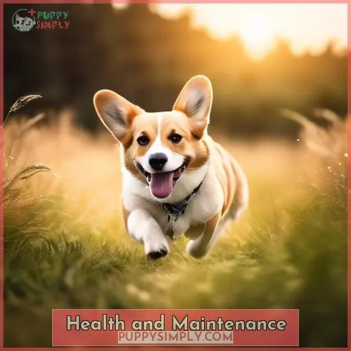 Health and Maintenance