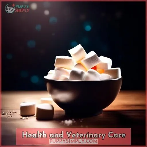 Health and Veterinary Care