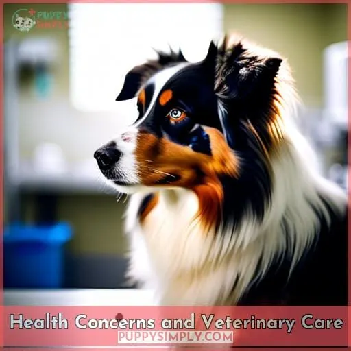 Health Concerns and Veterinary Care