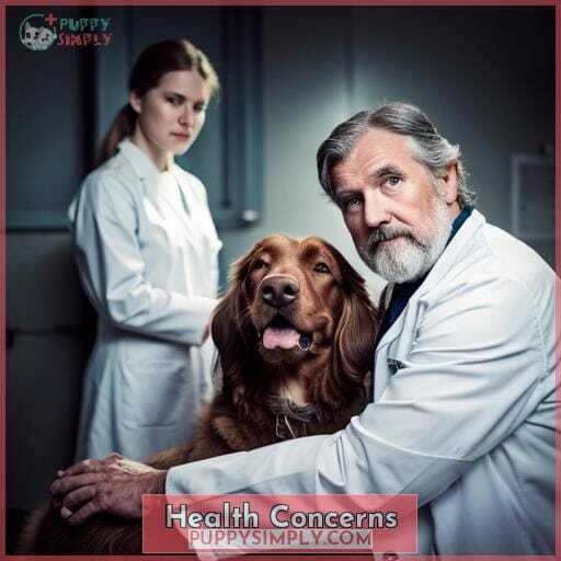 Health Concerns Health Concerns