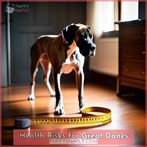 Health Risks for Great Danes