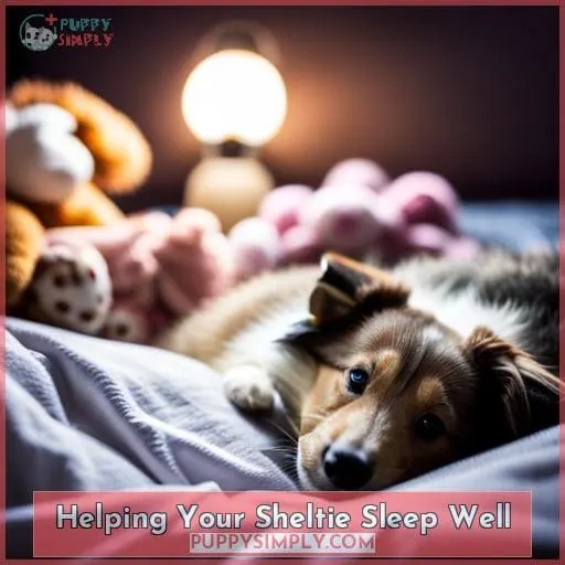 Helping Your Sheltie Sleep Well