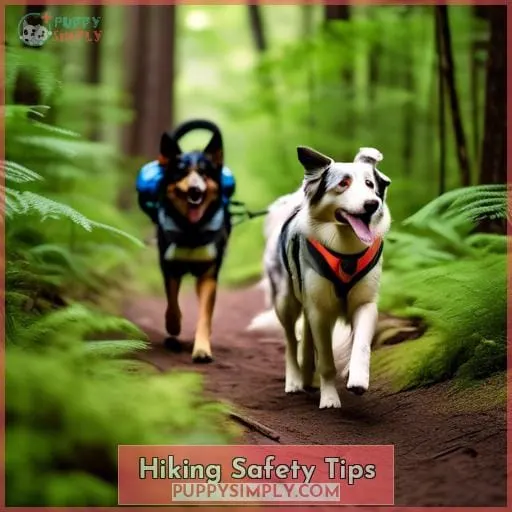 Hiking Safety Tips