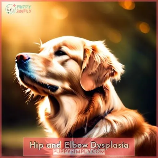 Hip and Elbow Dysplasia