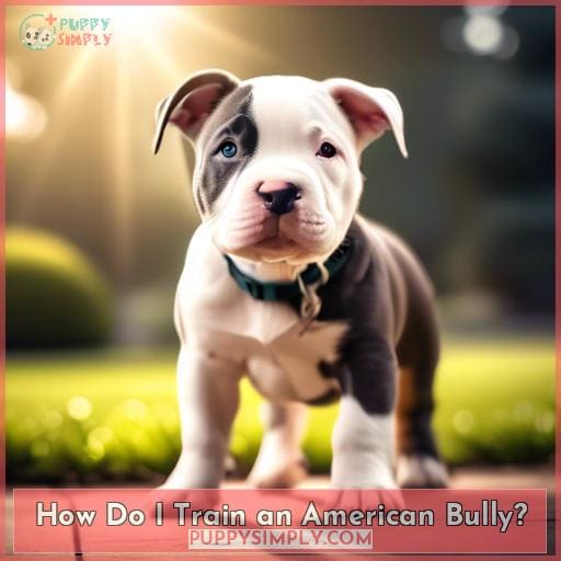 How Do I Train an American Bully