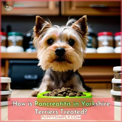 How is Pancreatitis in Yorkshire Terriers Treated