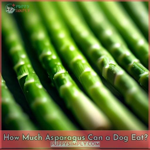 How Much Asparagus Can a Dog Eat How Much Asparagus Can a Dog Eat