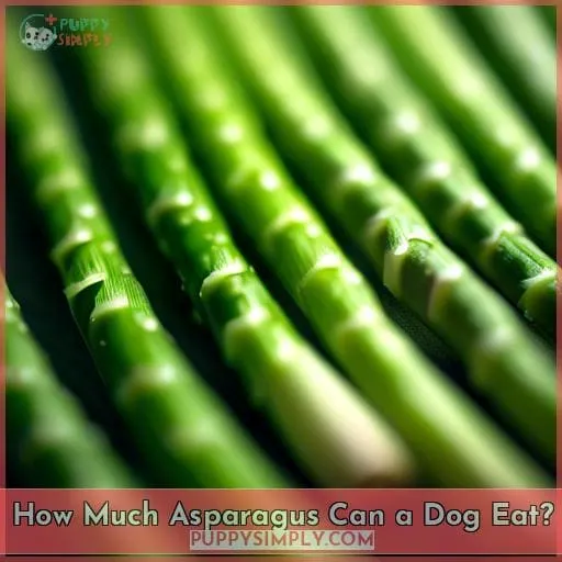 How Much Asparagus Can a Dog Eat
