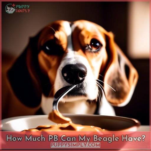 How Much PB Can My Beagle Have How Much PB Can My Beagle Have