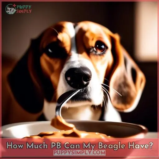 How Much PB Can My Beagle Have
