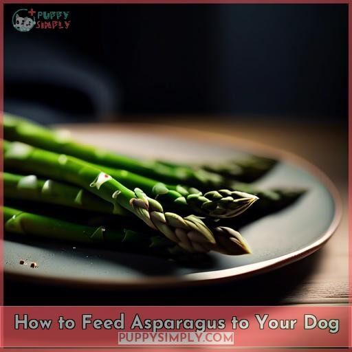 How to Feed Asparagus to Your Dog How to Feed Asparagus to Your Dog