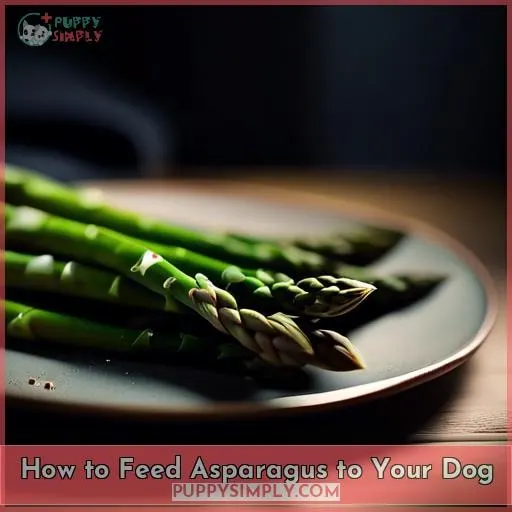 How to Feed Asparagus to Your Dog