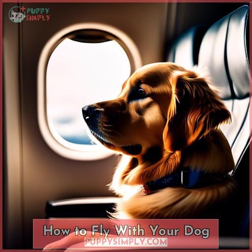 How to Fly With Your Dog