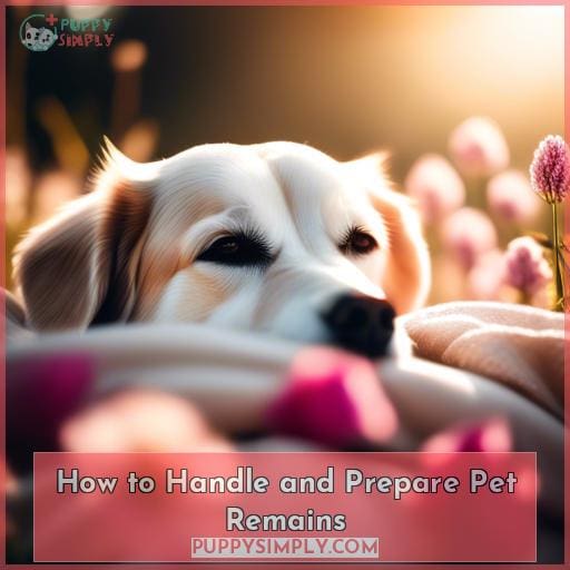 How to Handle and Prepare Pet Remains