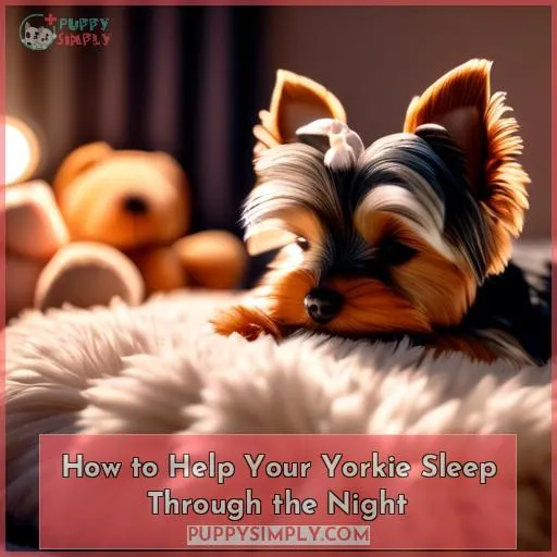 How to Help Your Yorkie Sleep Through the Night