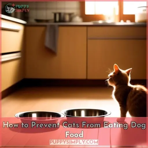 How to Prevent Cats From Eating Dog Food