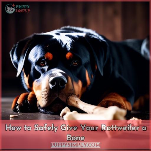 How to Safely Give Your Rottweiler a Bone