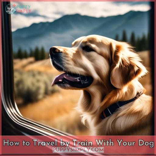 How to Travel by Train With Your Dog