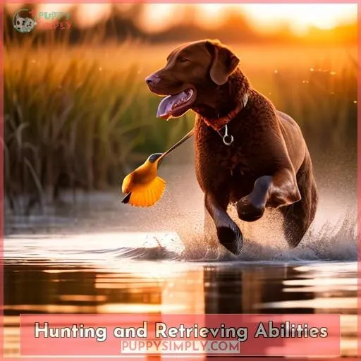 Hunting and Retrieving Abilities